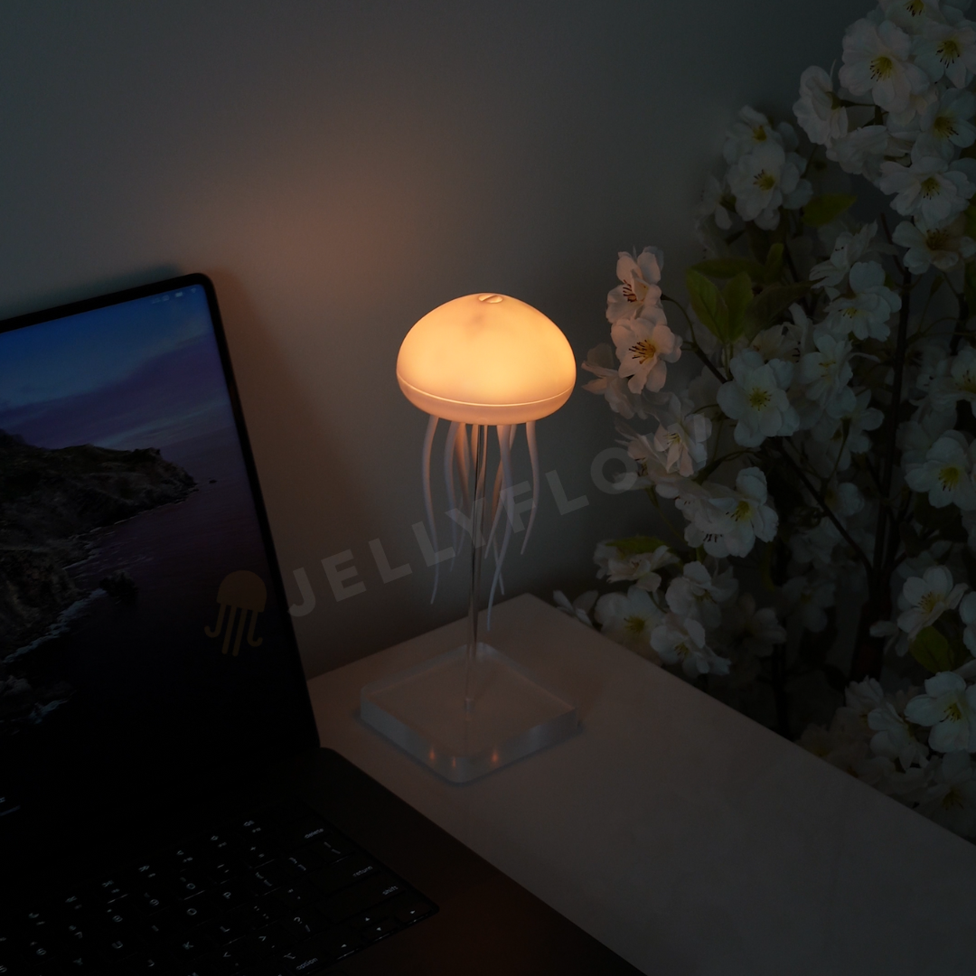 ଳ JELLYFLOW LAMPE