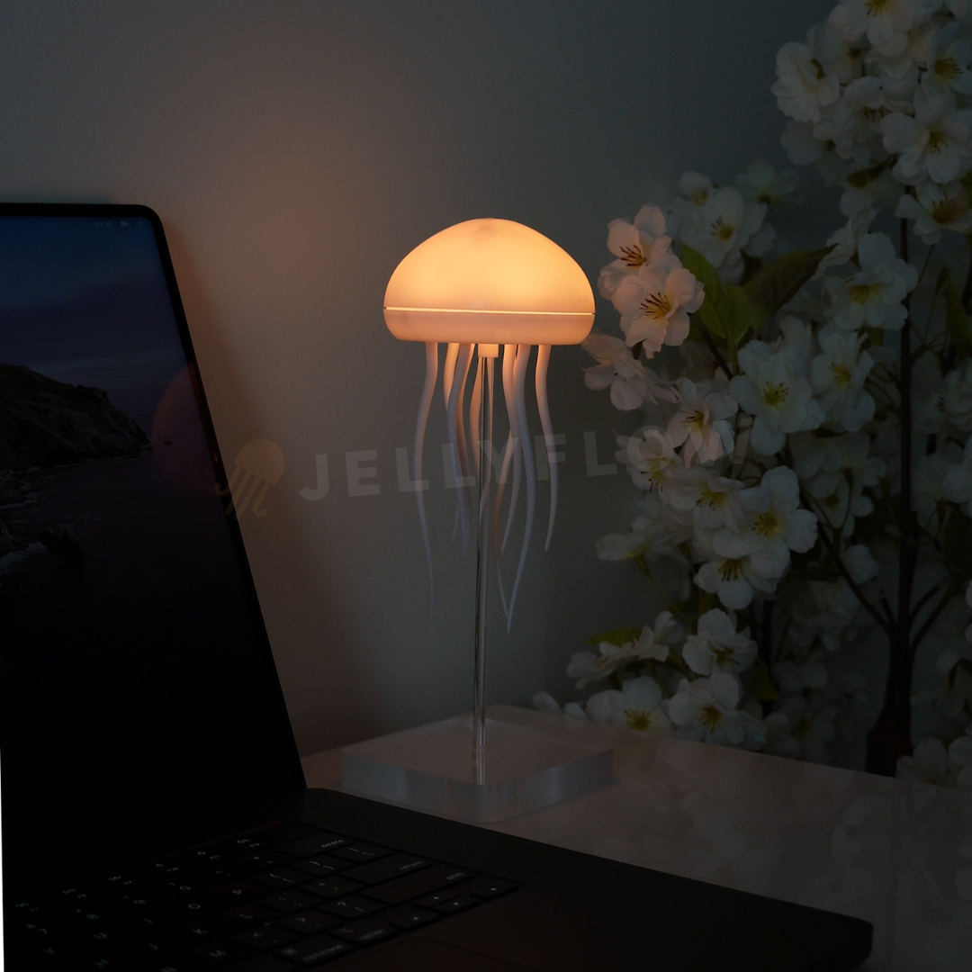 ଳ JELLYFLOW LAMPE
