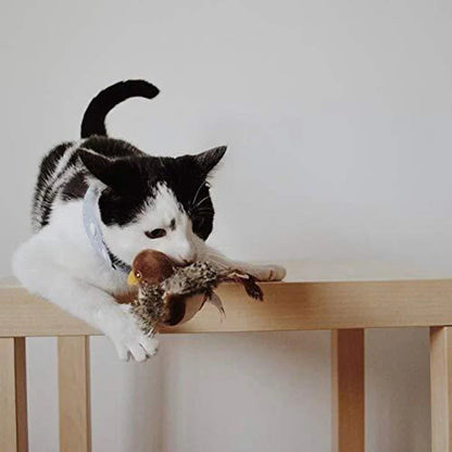 Catfri® BirdToy: Interaktives zwitscherndes Vogelspielzeug für Katzen