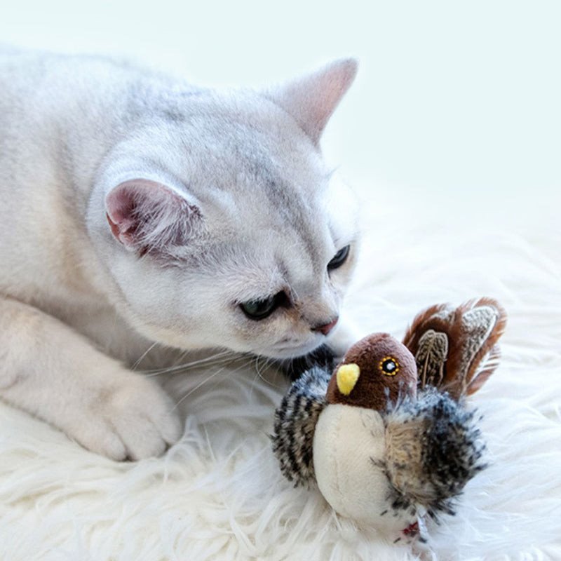 Catfri® BirdToy: Interaktives zwitscherndes Vogelspielzeug für Katzen